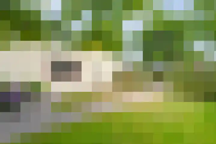 Dorpsstraat 9 Zorgvlied thumbnail 44