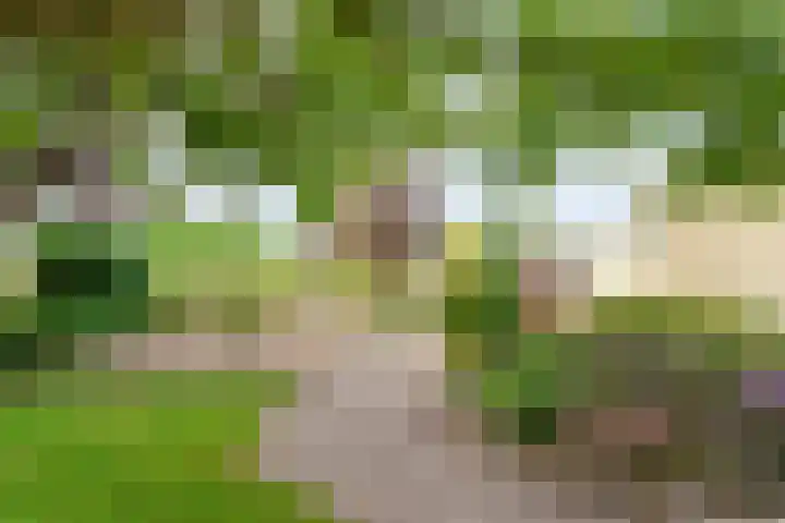 Dorpsstraat 9 Zorgvlied thumbnail 45
