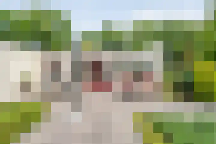 Dorpsstraat 9 Zorgvlied thumbnail 46