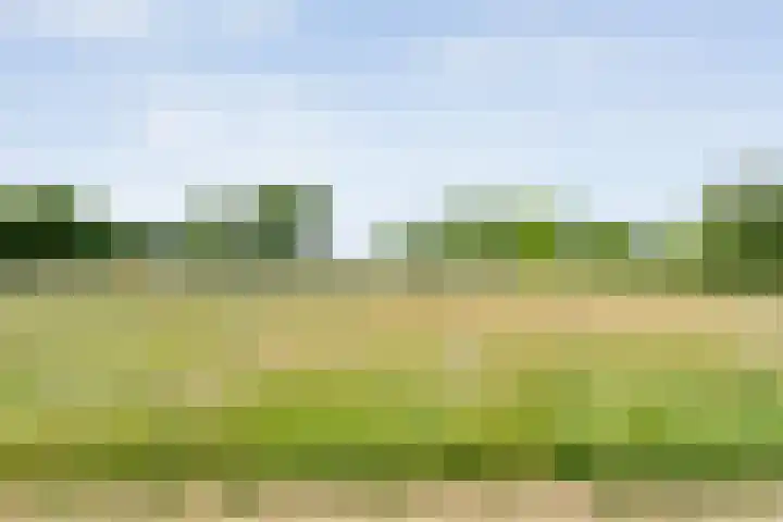 Dorpsstraat 9 Zorgvlied thumbnail 49