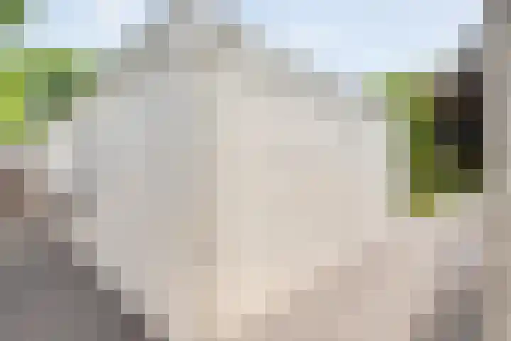 Dorpsstraat 9 Zorgvlied thumbnail 50