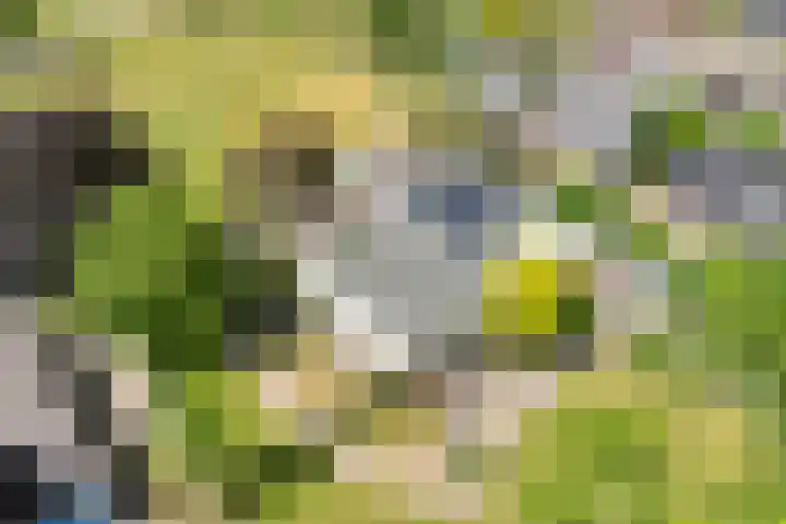 Dorpsstraat 9 Zorgvlied thumbnail 51