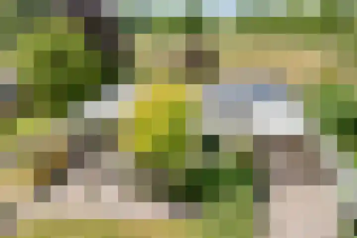 Dorpsstraat 9 Zorgvlied thumbnail 58