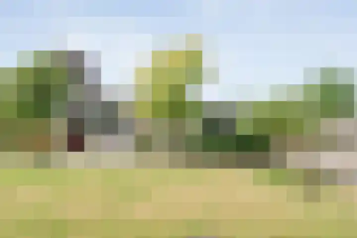 Dorpsstraat 9 Zorgvlied thumbnail 6