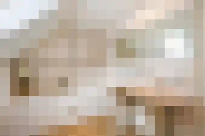 Dorpsstraat 9 Zorgvlied thumbnail 8