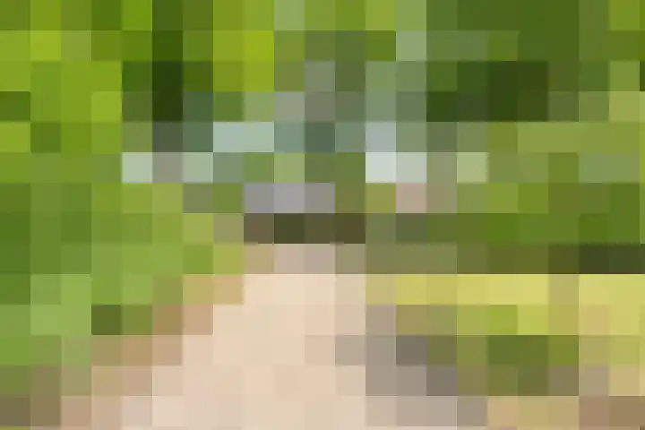 Dorpsstraat 9 Zorgvlied thumbnail 9