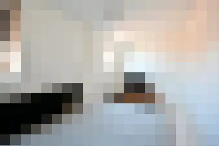 Dorpsstraat 975 Assendelft thumbnail 22