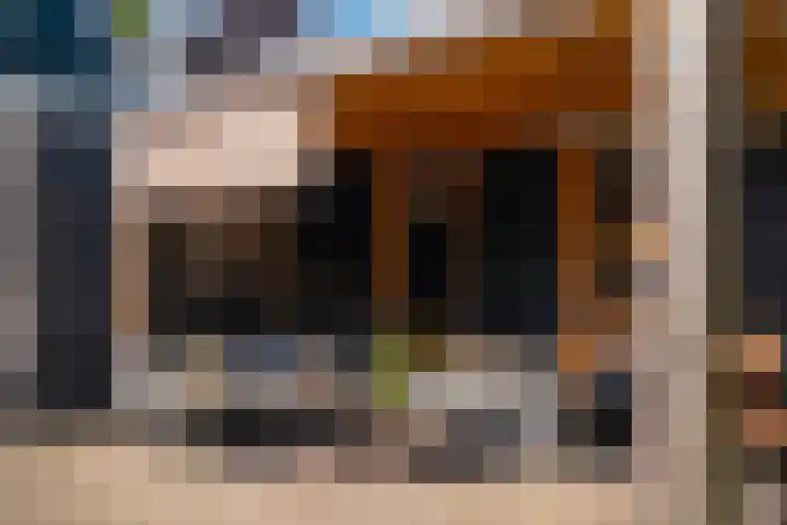 Dorpsstraat 975 Assendelft thumbnail 29