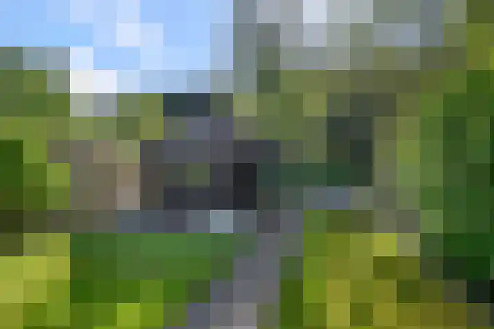 Dorpsstraat 975 Assendelft thumbnail 33
