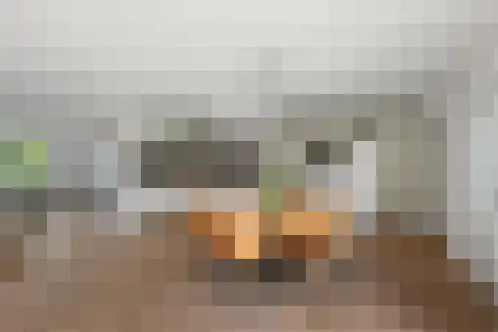 Dorpsstraat 975 Assendelft thumbnail 6