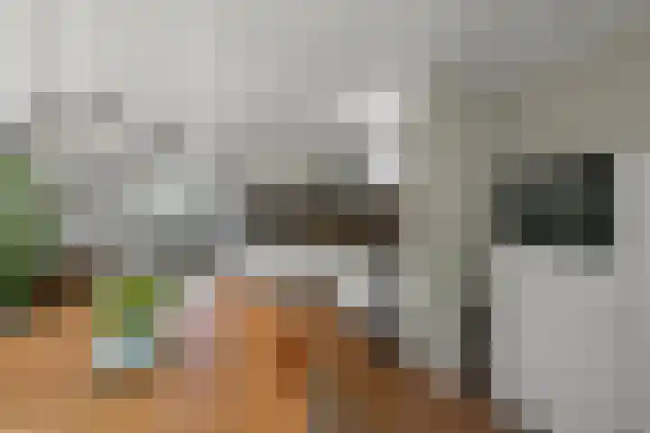 Dorpsstraat 975 Assendelft thumbnail 7