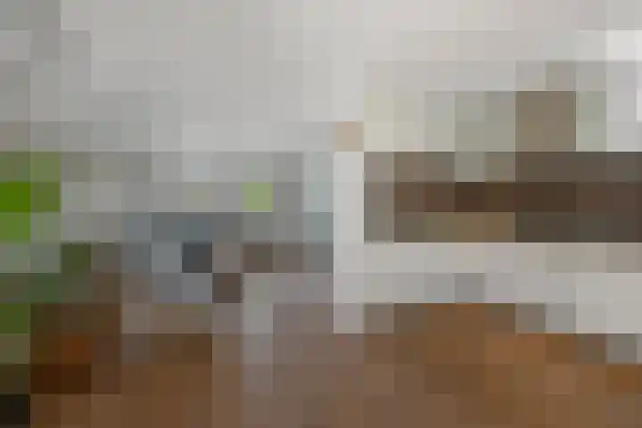 Dorpsstraat 975 Assendelft thumbnail 9