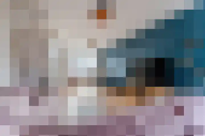 Dorpsstraat 994 Assendelft thumbnail 8