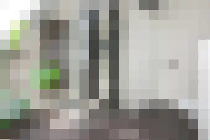 Dorpstienden 12 B Ouddorp thumbnail 19