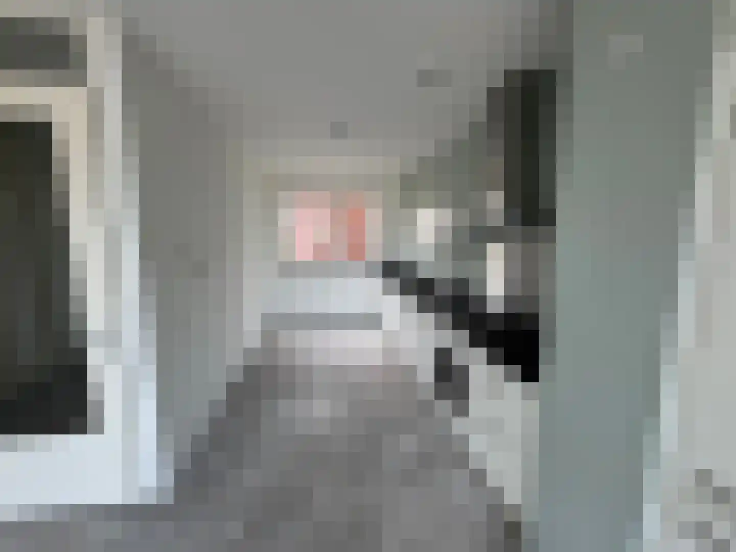 Dorpstienden 14 a Ouddorp thumbnail 12