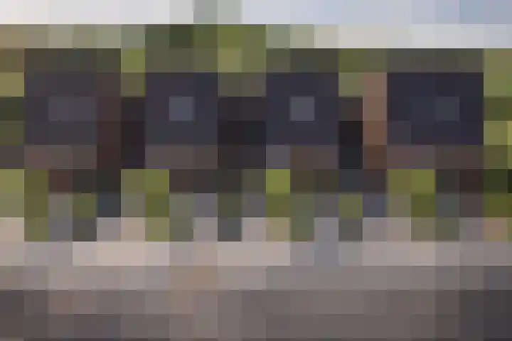Dorpstraat 1 Spaubeek thumbnail 10