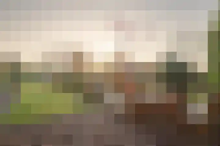 Dorpstraat 102 Spaubeek thumbnail 17