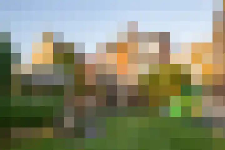 Dorpstraat 102 Spaubeek thumbnail 21