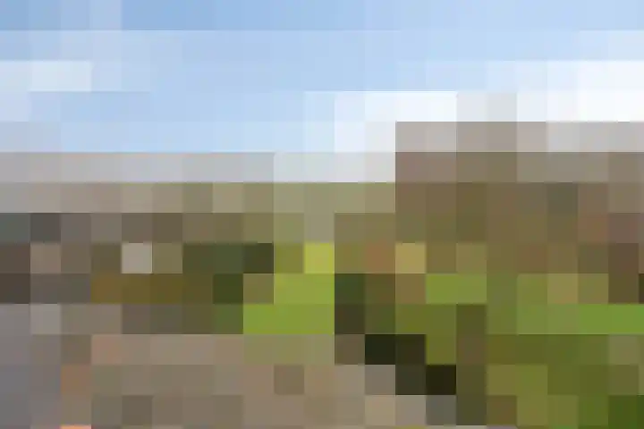 Dorpstraat 104 Spaubeek thumbnail 34