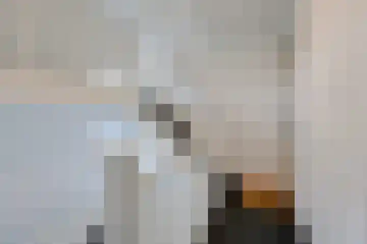 Dorpstraat 107 g Westervoort thumbnail 9