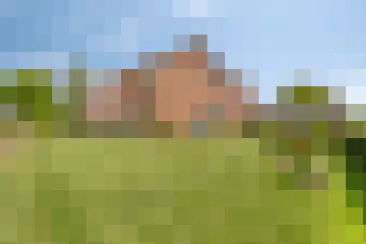 Dorpstraat 13 Luyksgestel thumbnail 43