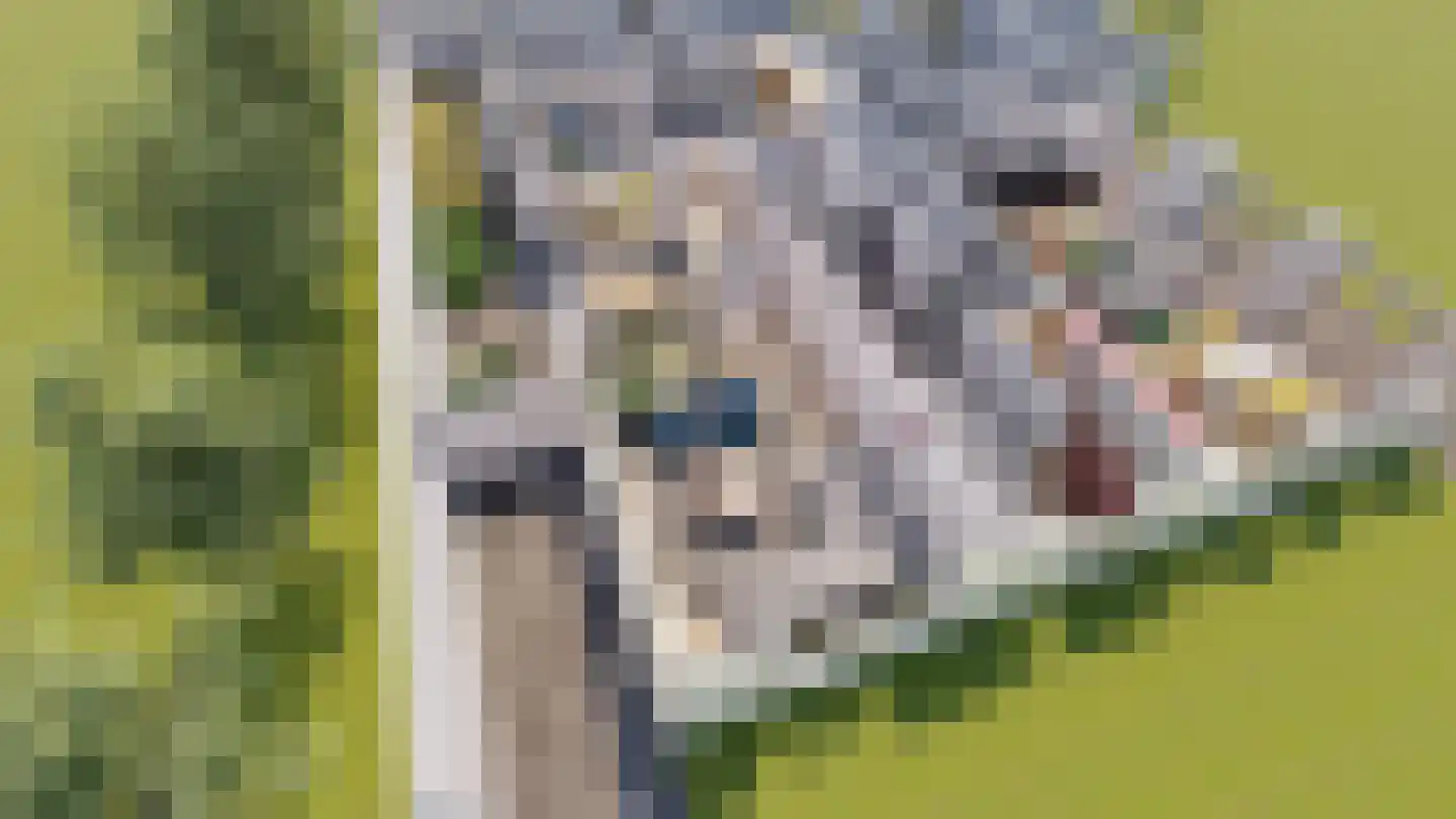 Dorpstraat 14 Horn thumbnail 19