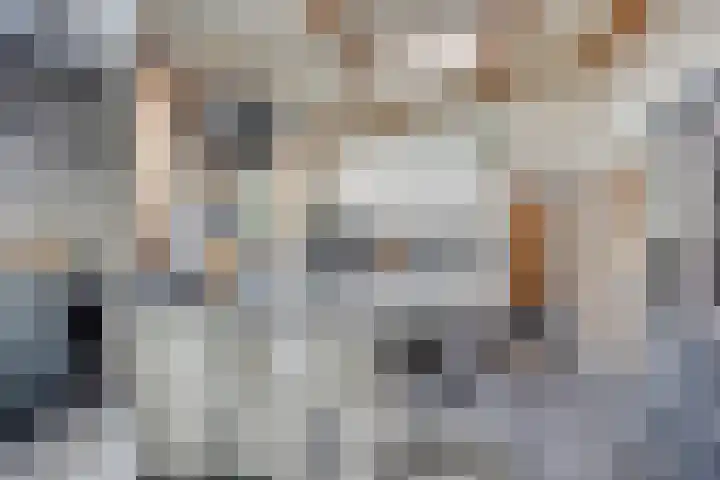 Dorpstraat 15 Sittard thumbnail 6