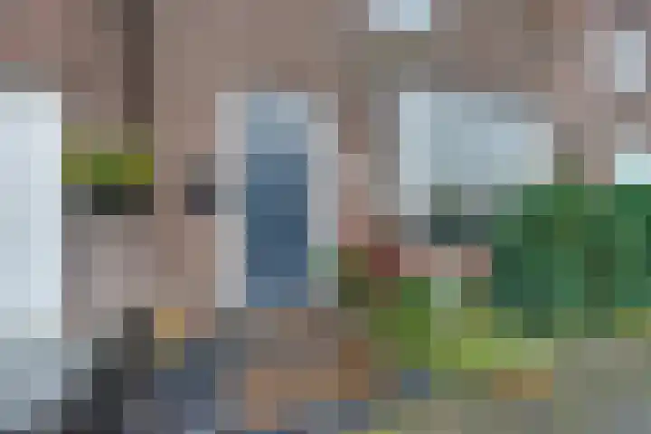 Dorpstraat 17 Heumen thumbnail 20