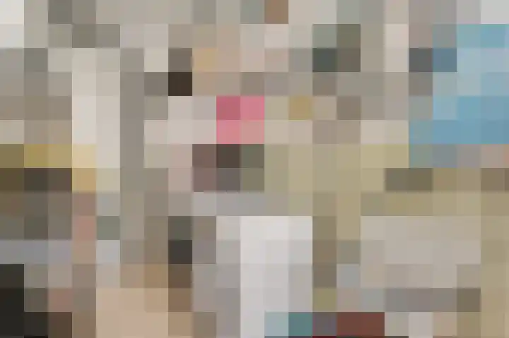 Dorpstraat 18 Baexem thumbnail 15