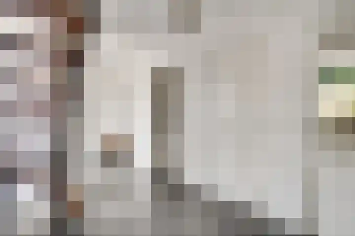 Dorpstraat 18 Baexem thumbnail 18