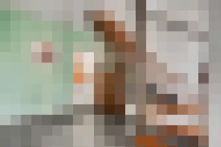 Dorpstraat 18 Baexem thumbnail 20
