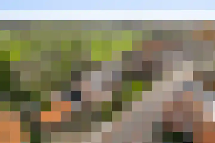 Dorpstraat 18 Baexem thumbnail 47