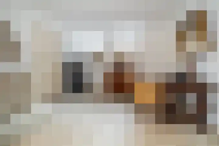 Dorpstraat 19 Ulvenhout thumbnail 11