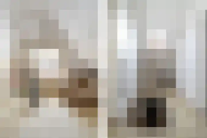 Dorpstraat 19 Ulvenhout thumbnail 19