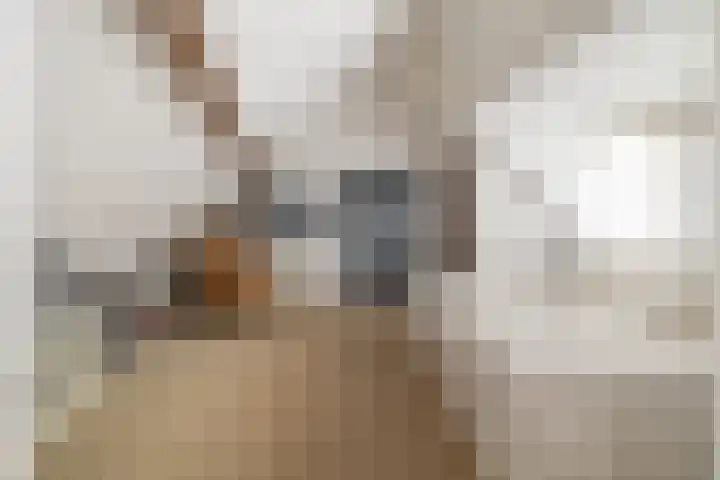 Dorpstraat 19 Ulvenhout thumbnail 20