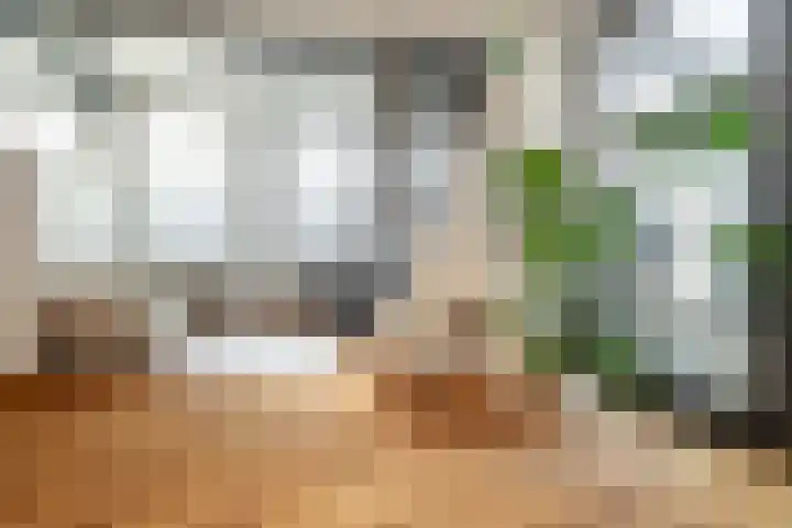 Dorpstraat 19 Ulvenhout thumbnail 30