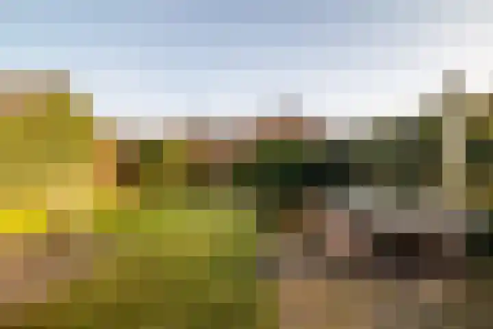 Dorpstraat 19 Ulvenhout thumbnail 34