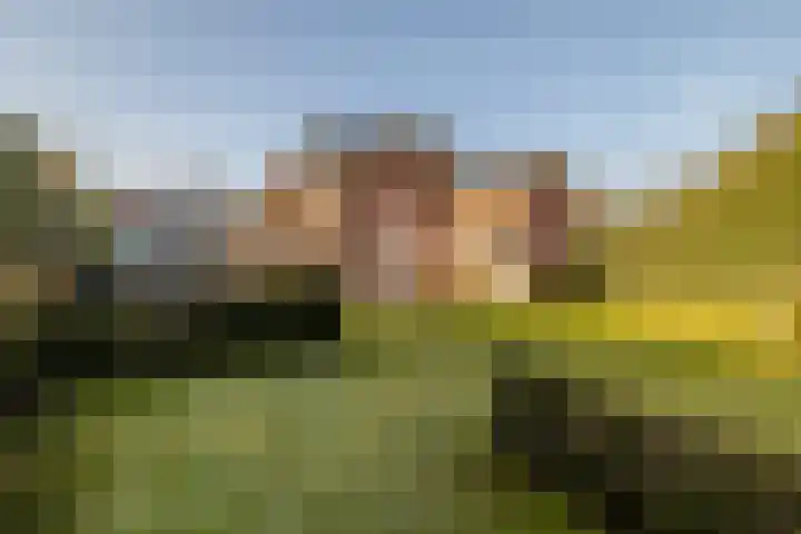 Dorpstraat 19 Ulvenhout thumbnail 35