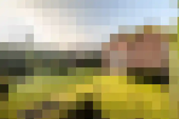 Dorpstraat 19 Ulvenhout thumbnail 37