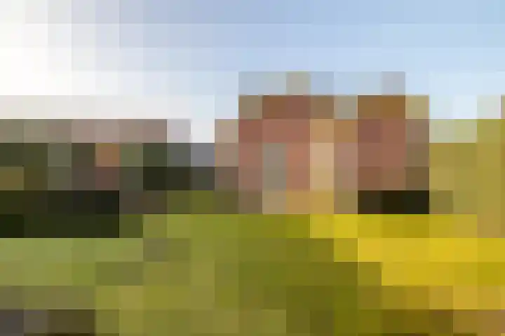Dorpstraat 19 Ulvenhout thumbnail 38
