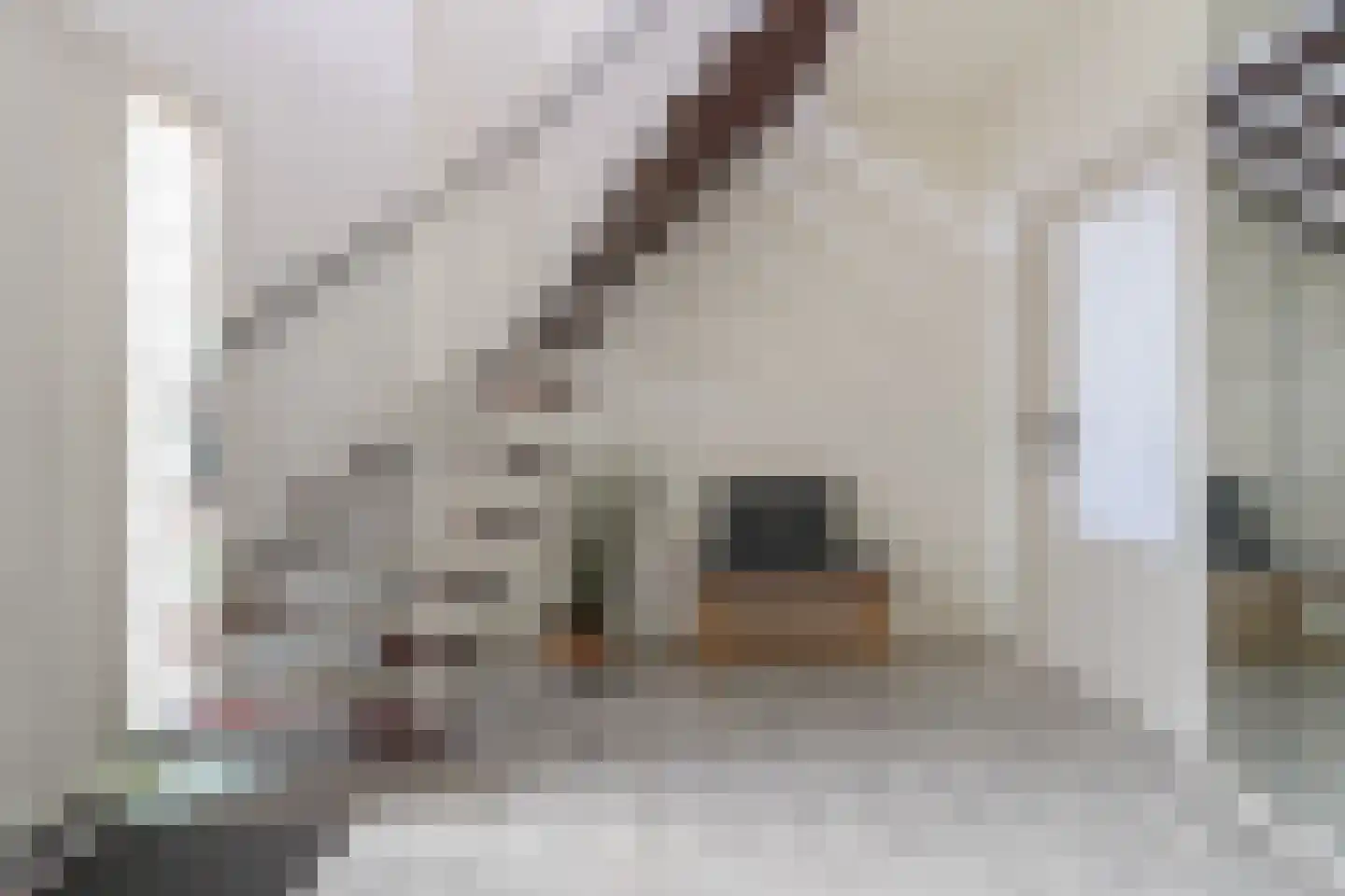 Dorpstraat 2 A Gemonde thumbnail 16