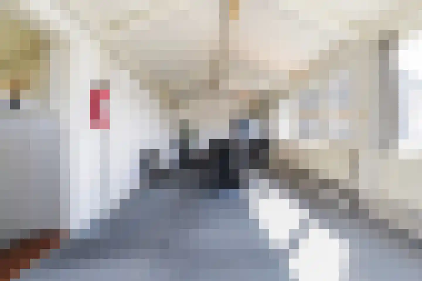 Dorpstraat 2 A Gemonde thumbnail 41
