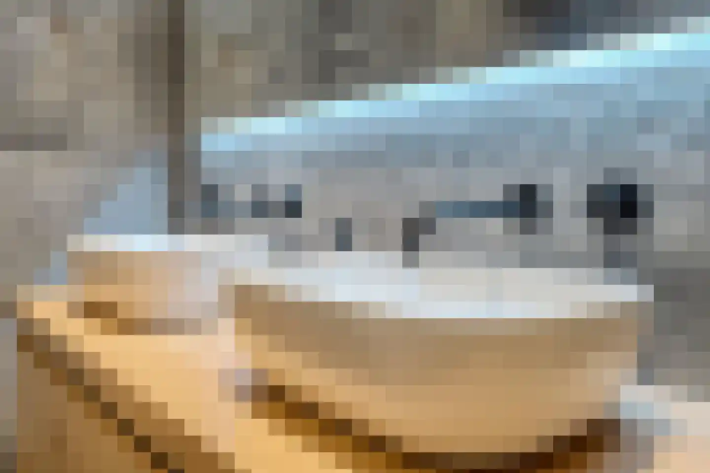 Dorpstraat 21 Leende thumbnail 24