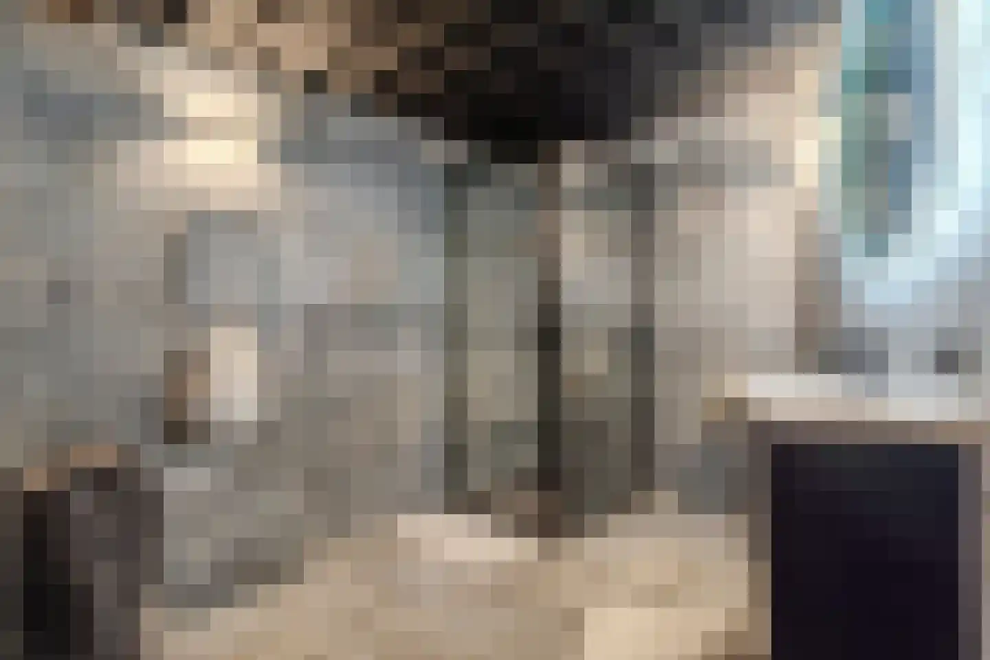 Dorpstraat 21 Leende thumbnail 34