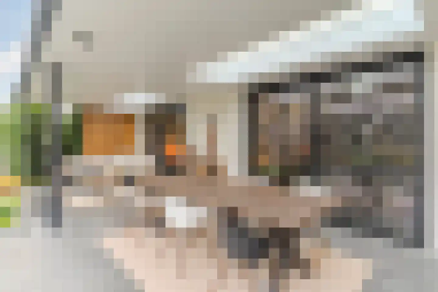 Dorpstraat 21 Leende thumbnail 4