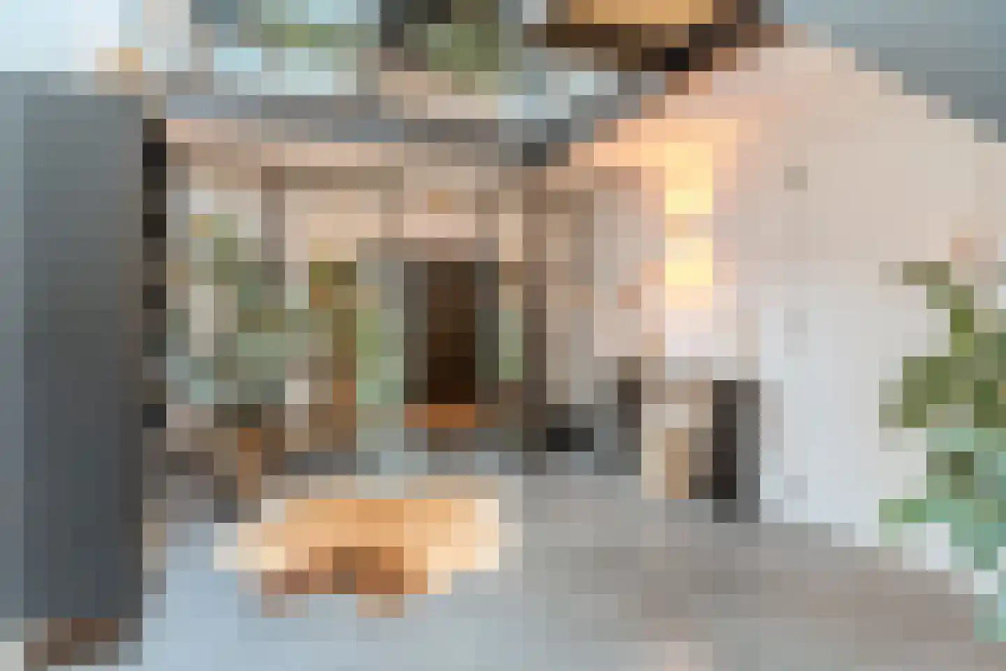 Dorpstraat 21 Leende thumbnail 8