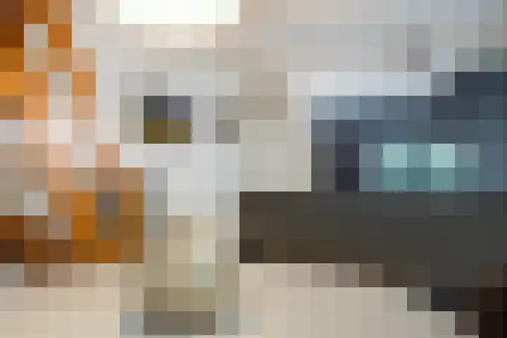 Dorpstraat 25 Elsloo thumbnail 19