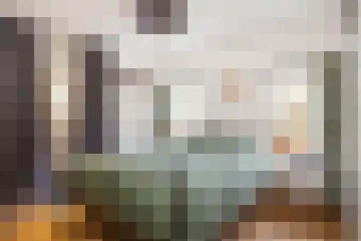 Dorpstraat 25 Elsloo thumbnail 22