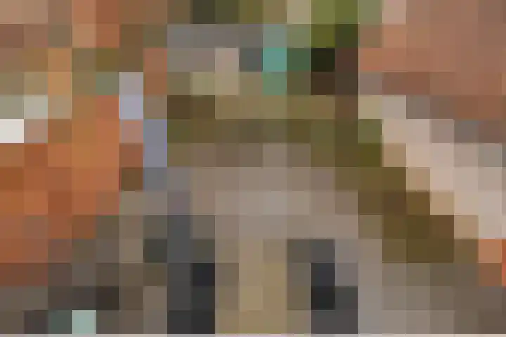 Dorpstraat 25 Elsloo thumbnail 35