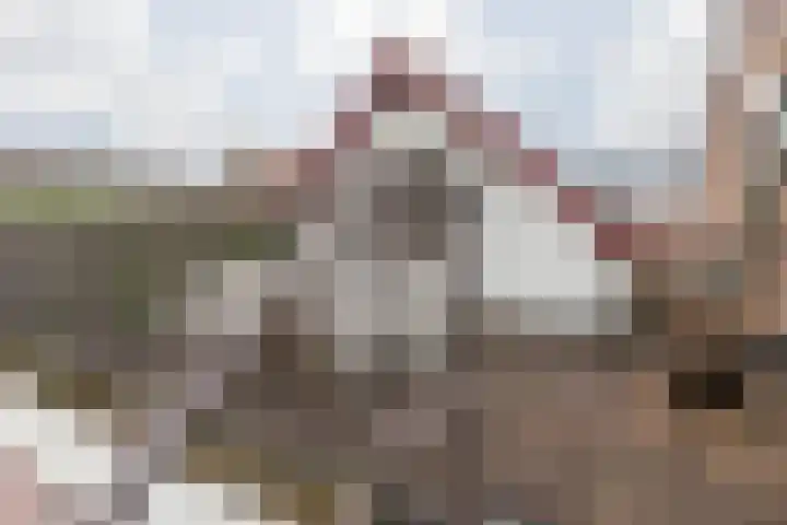 Dorpstraat 25 Elsloo thumbnail 36